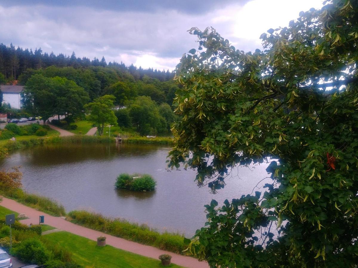 Ausblick Park