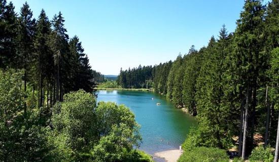 Ausblick Park Apartment Goslar