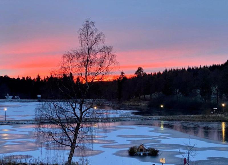 Ausblick Park