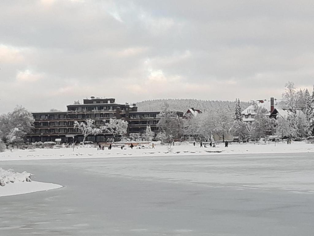 Apartment Ausblick Park