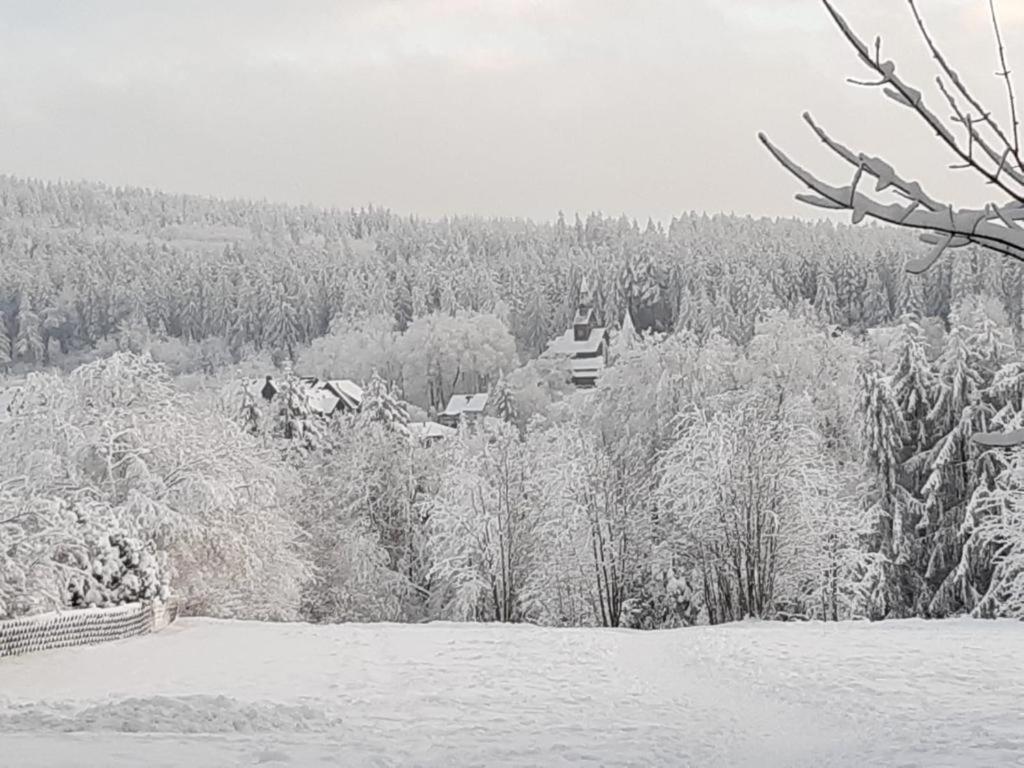 Ausblick Park *