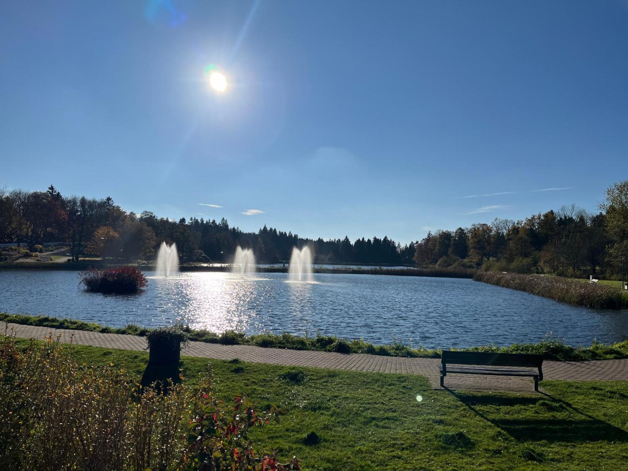 Appartement Ausblick Park Goslar